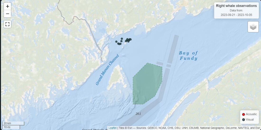 Map of the Bay of Fundy with recorded right whale observations marked
